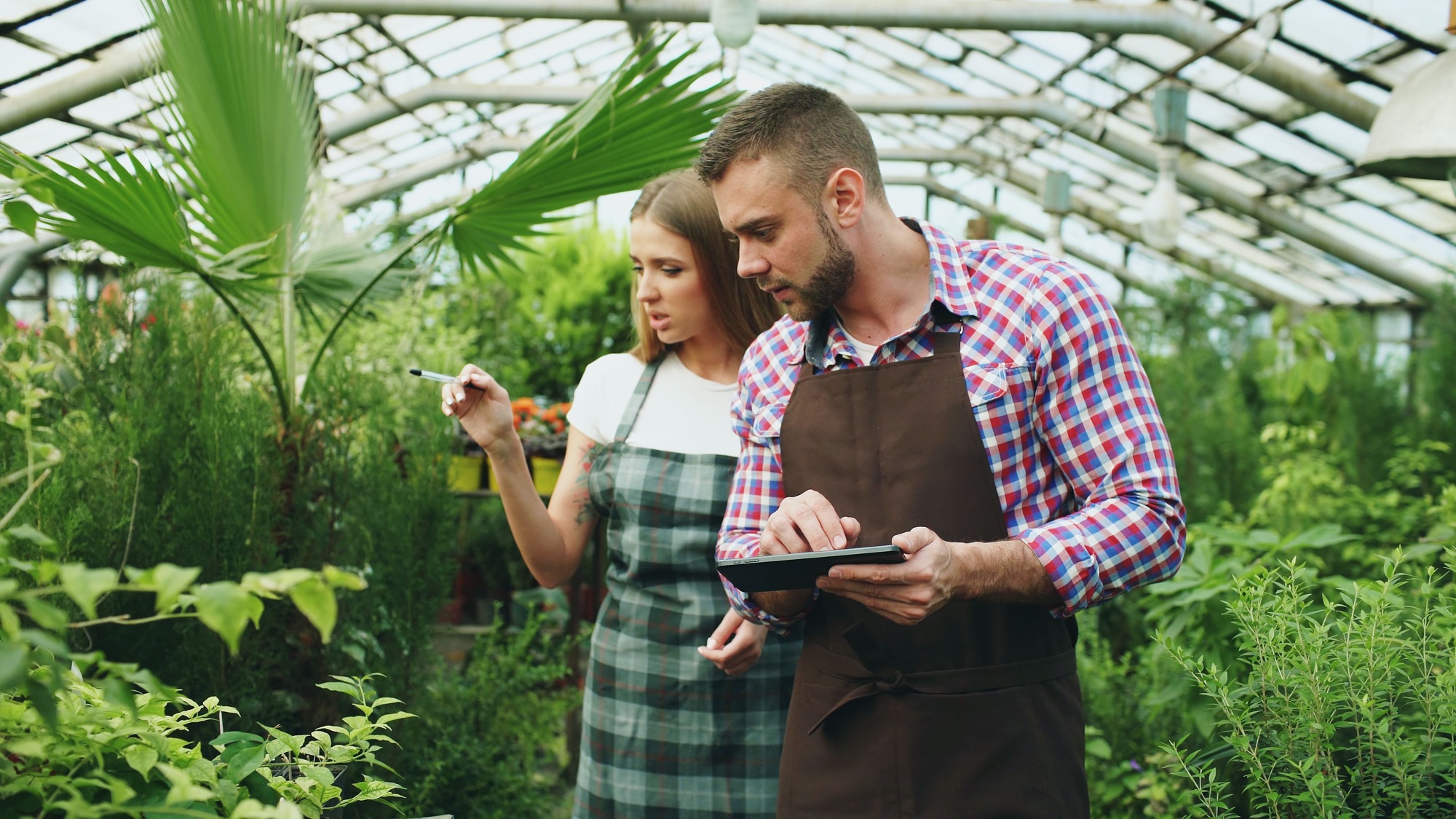 Dos especialistas usan una tableta para monitorear plantas dentro de un invernadero