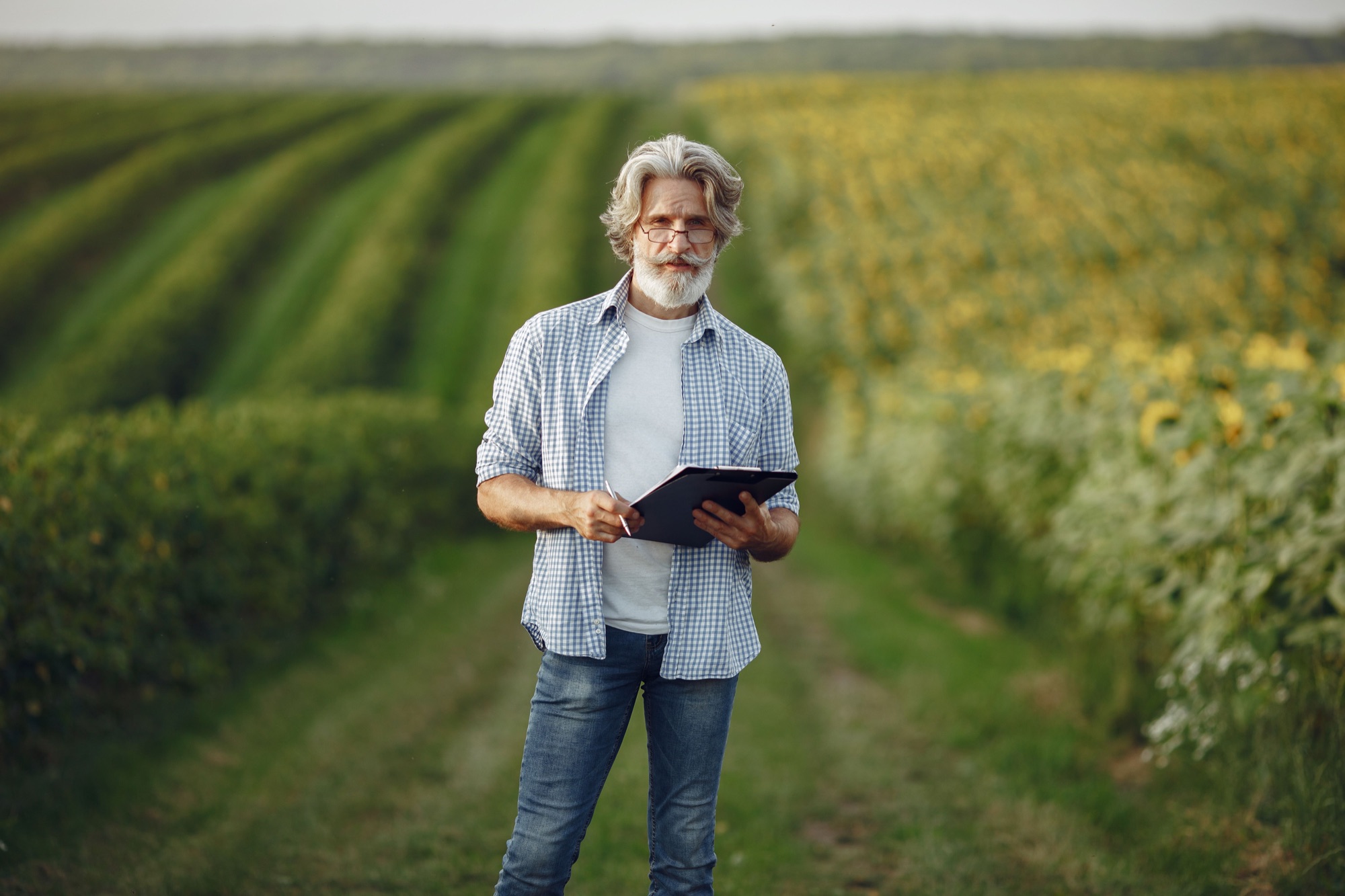 Agricultor consulta datos en una tableta dentro de un cultivo