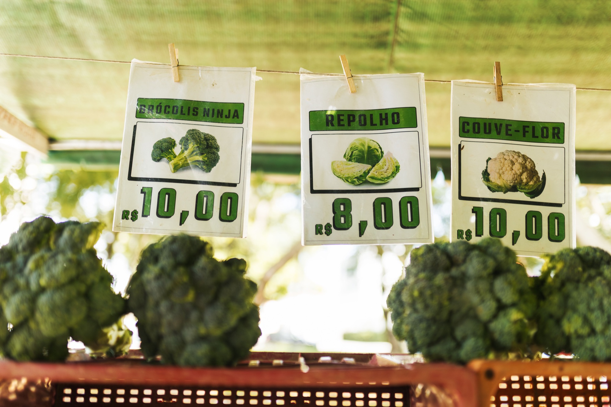 Hortalizas frescas con etiquetas de precio en un mercado