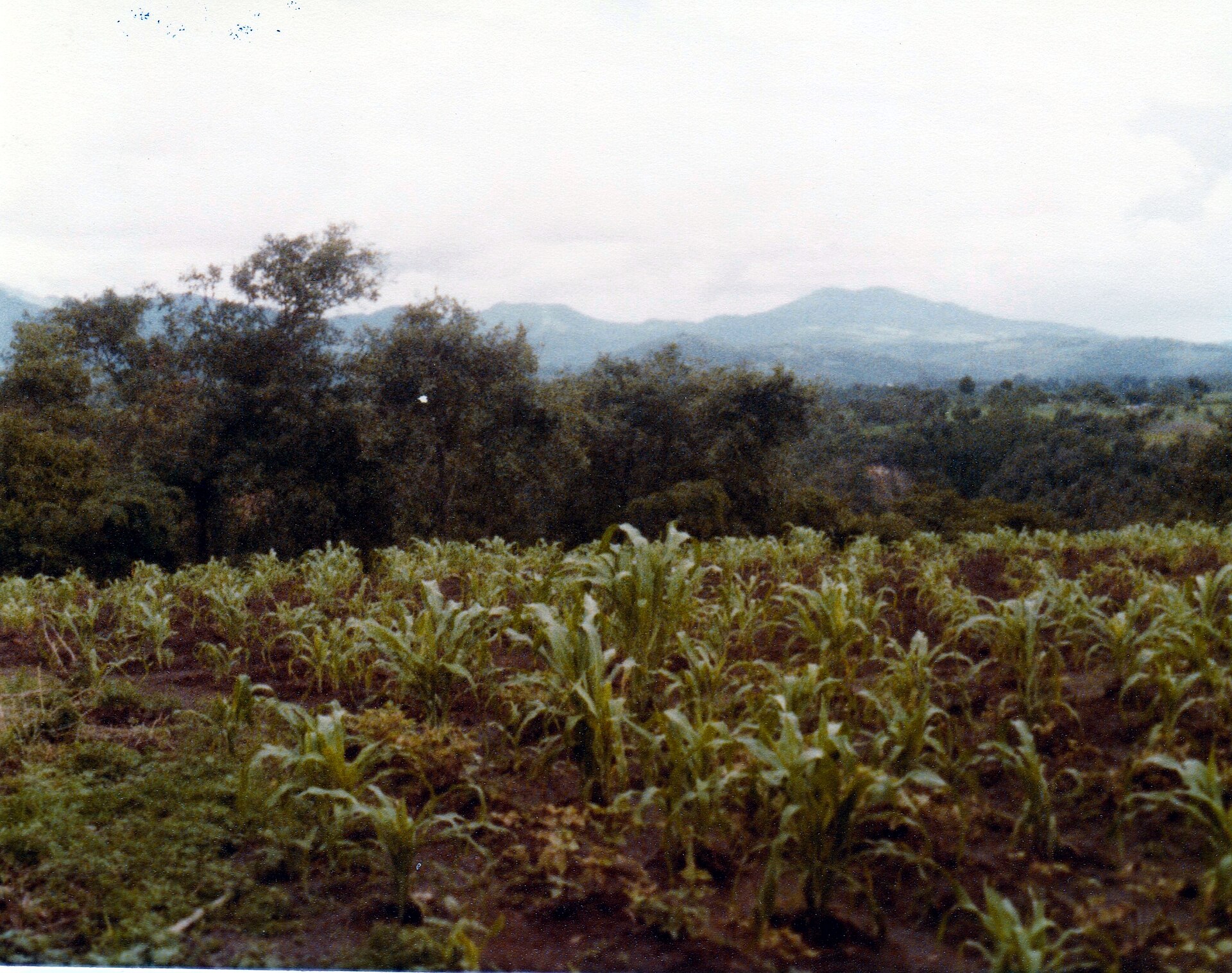 Paisaje agrícola de Santa Isabel, Chimaltenango, Guatemala