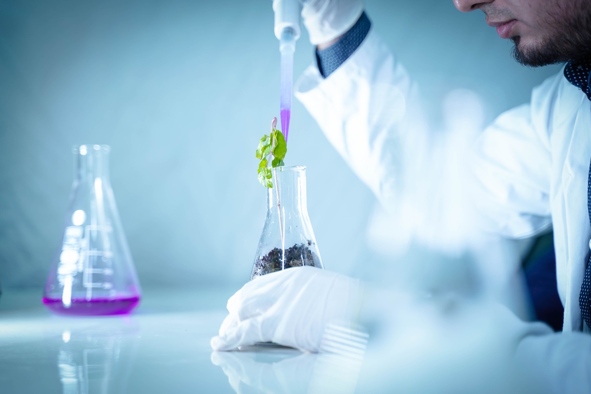 Científico analiza una muestra de suelo y una planta en un laboratorio