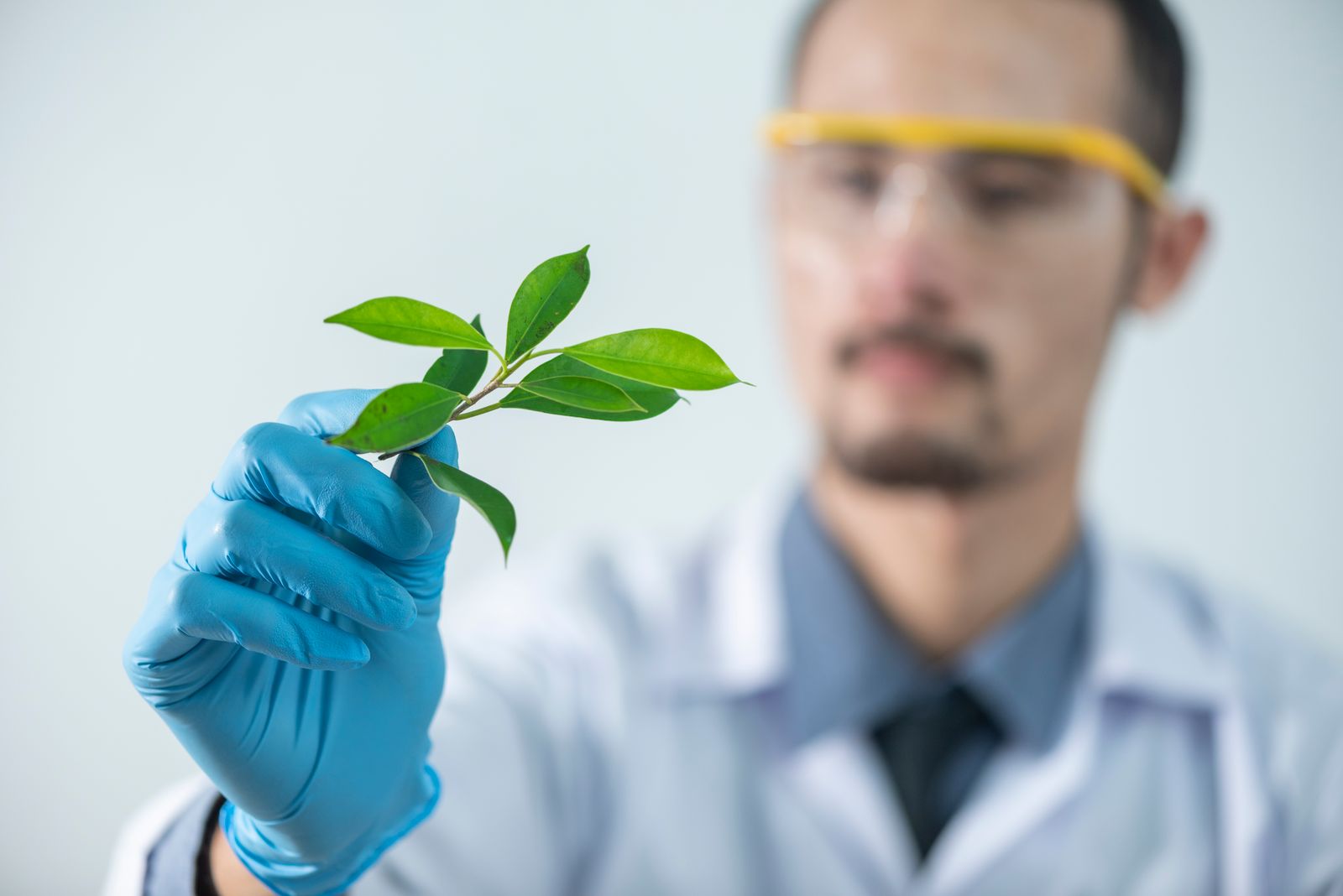 Especialista examina una muestra vegetal en laboratorio