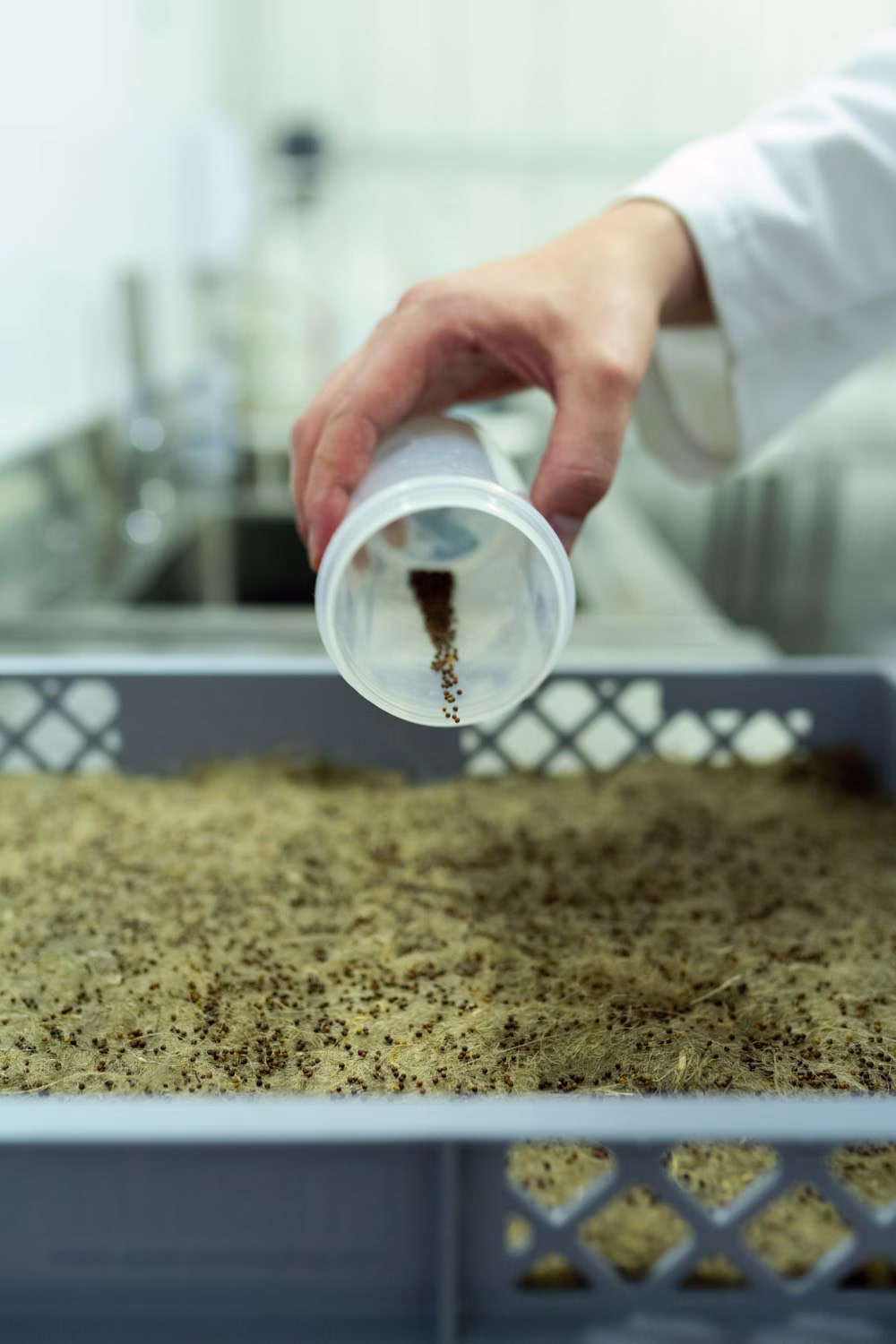 Científico vierte semillas en una bandeja dentro de un laboratorio agrícola